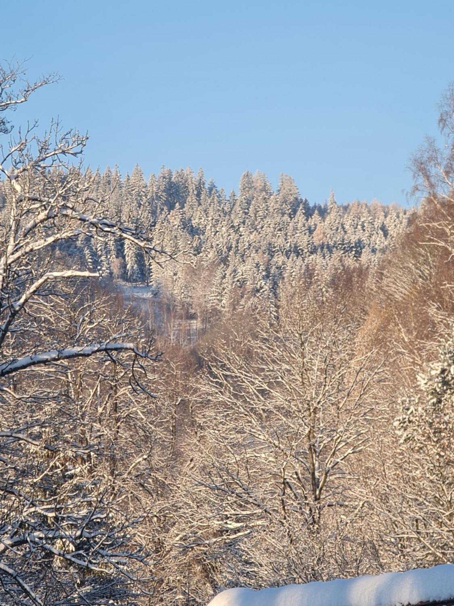Sieraton Pokoje I Apartament Stronie Slaskie Bagian luar foto