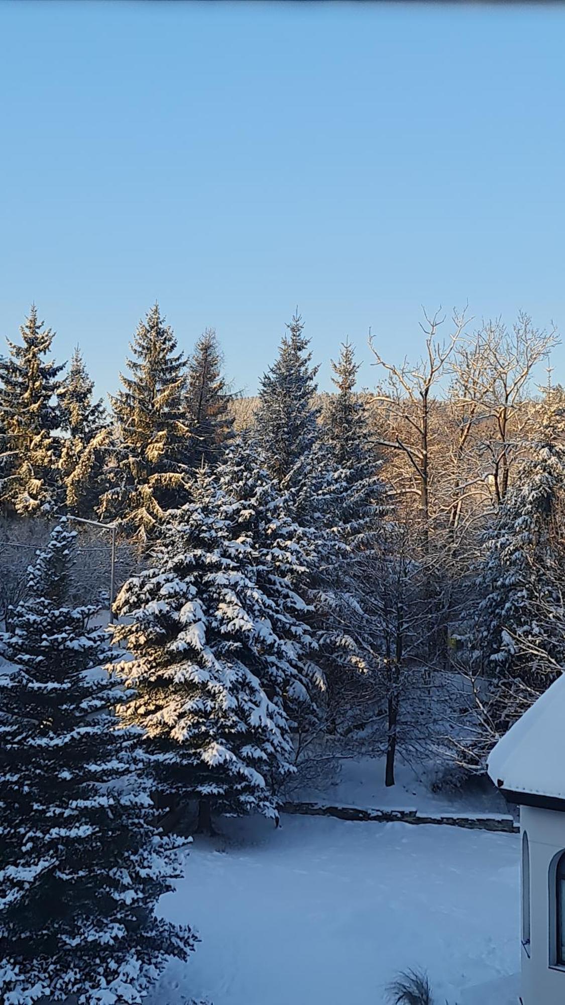 Sieraton Pokoje I Apartament Stronie Slaskie Bagian luar foto