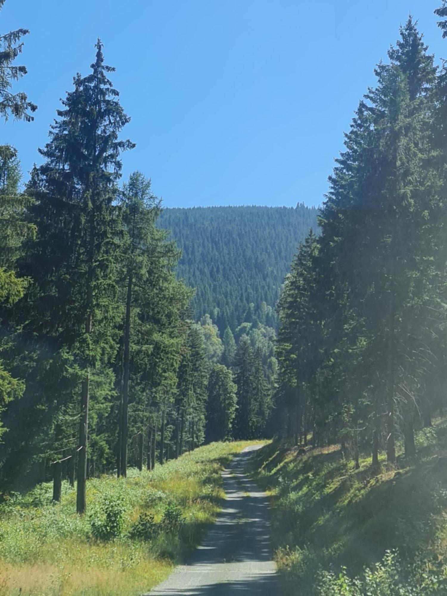 Sieraton Pokoje I Apartament Stronie Slaskie Bagian luar foto
